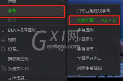 爱奇艺万能播放器中字幕的设置方法截图