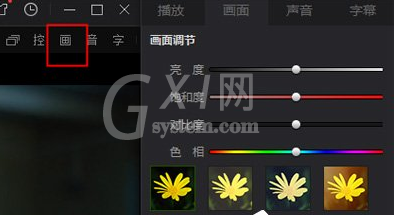 爱奇艺万能播放器中亮度的调整具体方法截图