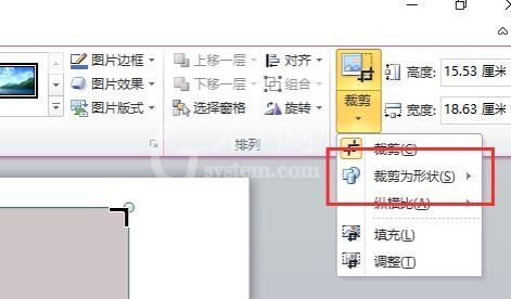 ppt2013插入自定义图片样式的操作方法截图