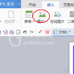 wps制作一款简约派简历的详细方法截图