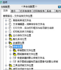 AutoCAD2020设置模板的操作方法截图