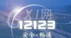 交管12123电脑版的使用操作方法