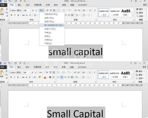 word设置小型大写字母small capitals的操作方法截图