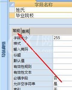 access为字段加上有效性的操作方法截图