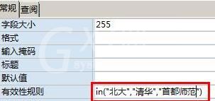 access为字段加上有效性的操作方法截图