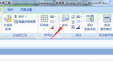 access数据库修改报表微标的操作方法截图