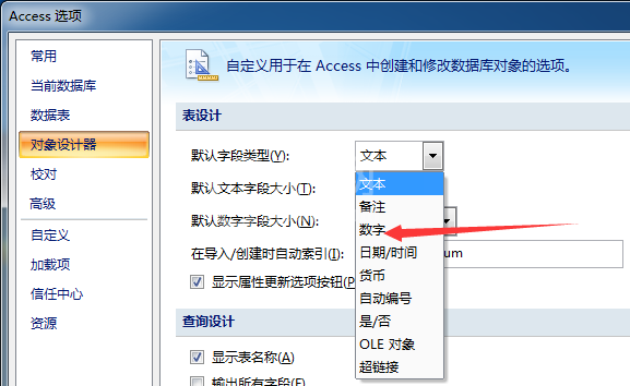 access对象设计器默认字段类型设置方法截图