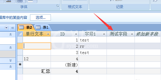 access隐藏列的操作步骤截图