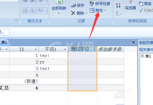 access隐藏列的操作步骤截图