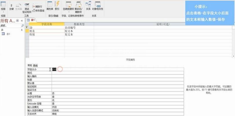 access设置字段大小的操作教程截图