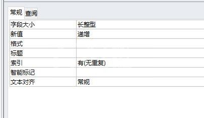 access中对字段进行智能标志的操作步骤截图