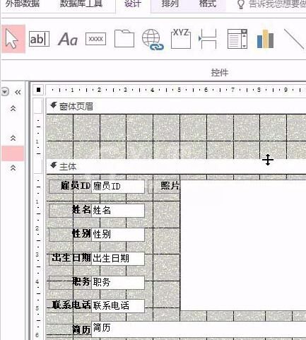 access设置窗体页眉标签的操作方法截图