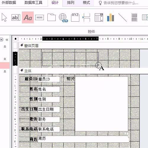 access设置窗体页眉标签的操作方法截图