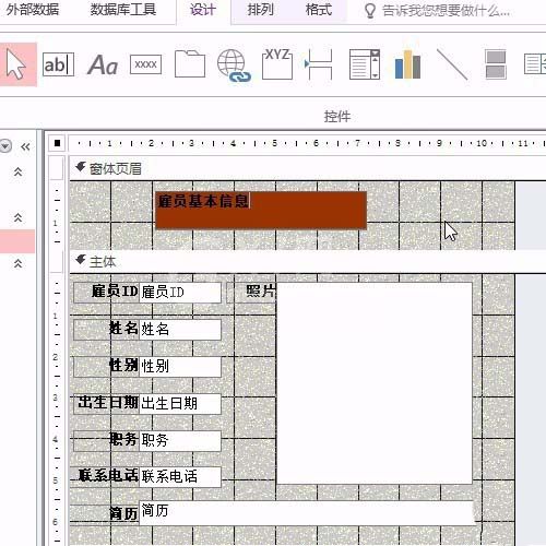 access设置窗体页眉标签的操作方法截图