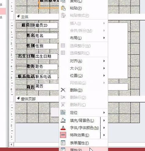 access设置窗体页眉标签的操作方法截图