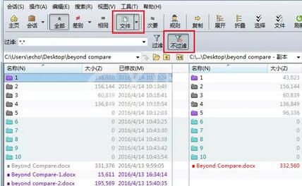 Beyond Compare设置文件夹显示过滤器的操作流程截图