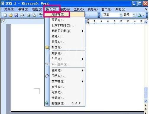 wps删除整页的操作方法截图