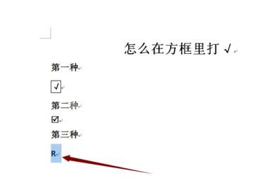 word文档在方框里打勾的操作方法截图