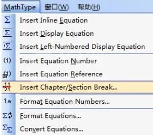 MathType公式编号不从1开始的编辑方法截图