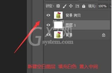 photoshop为图片加上放射性效果的详细教程截图