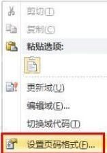 word2010设置页码从指定页开始的简单方法截图