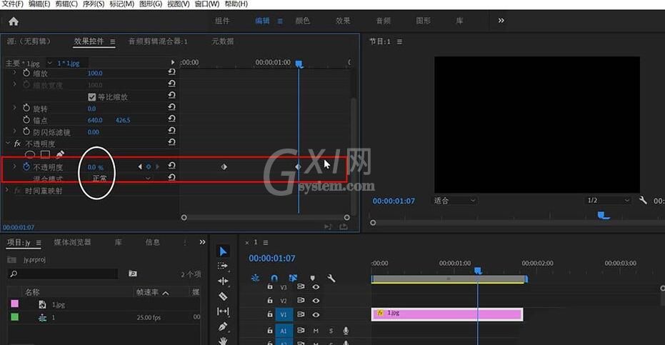 premiere制作画面逐渐转黑效果的过程截图