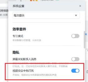 钉钉设置视频会议免打扰的操作过程截图