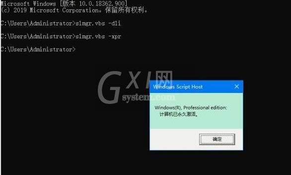 WIN10专业版使用命令查看激活信息的详细操作截图