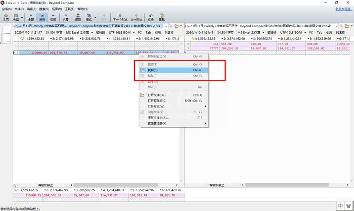 Beyond Compare助你快速定位可疑数据的方法截图