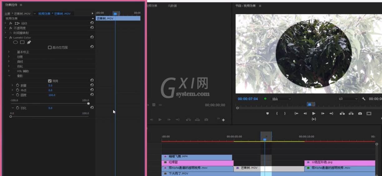 premiere制作镜头晕影效果的图文操作内容截图