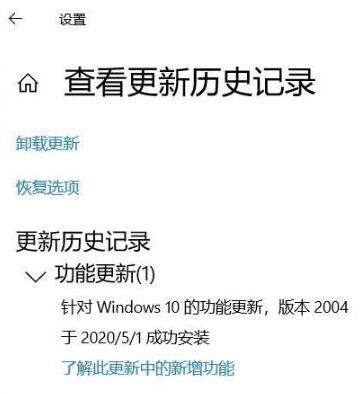 WIN10系统2004绿屏的处理技巧方法截图