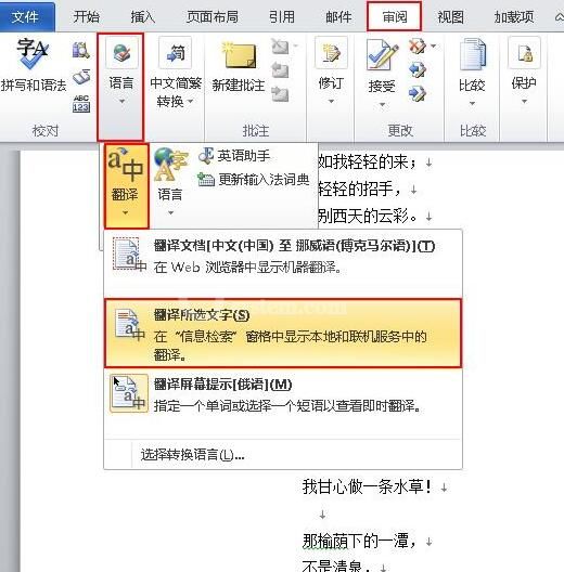 word2010使用翻译字典的操作方法截图