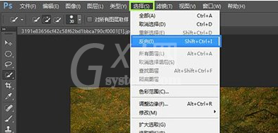PS反选选区操作方法截图