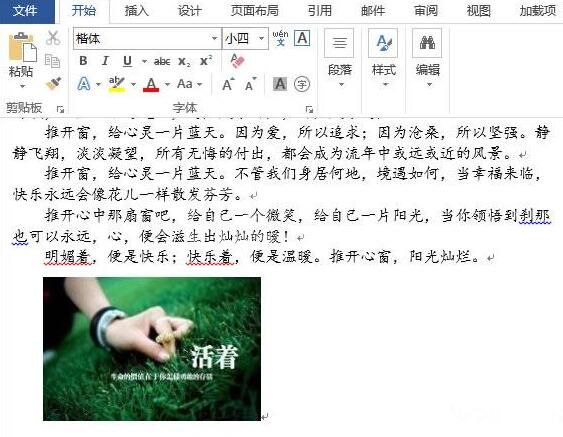 word2013文档插入图片的具体方法截图