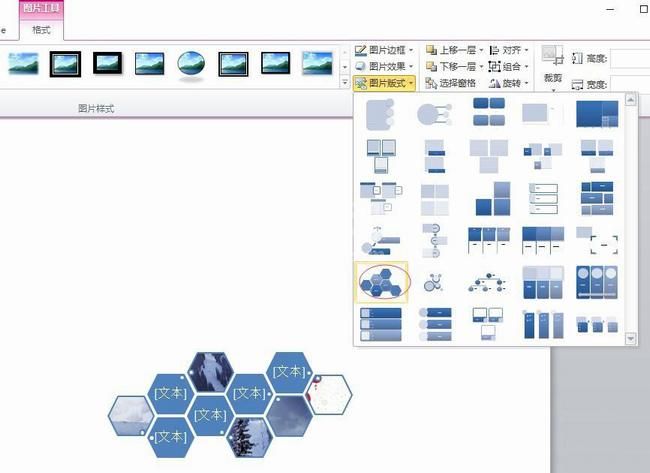 PPT中插入图片版式六边形群集的操作方法截图