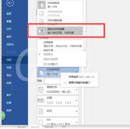 word2016怎样设置自定义打印范围 word2016中自定义打印范围的操作步骤截图