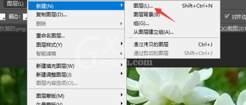 photoshop cs5新建图层的操作流程截图