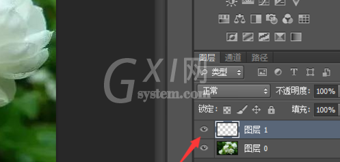 photoshop cs5新建图层的操作流程截图