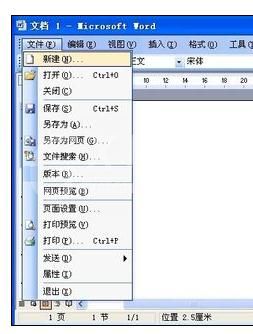 word2003设置初始默认值的具体操作流程截图