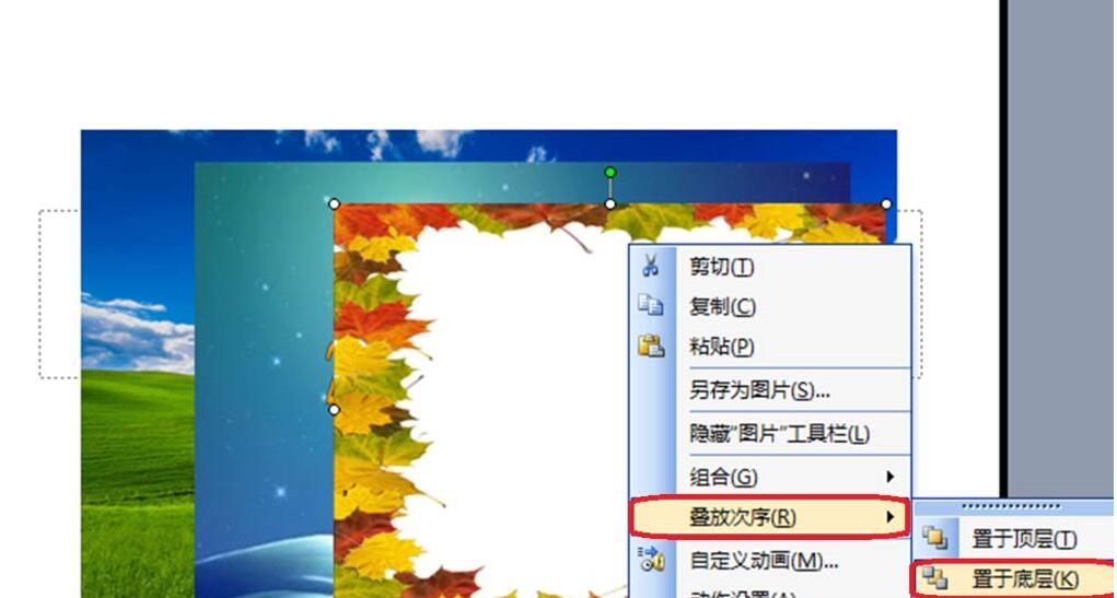 PPT怎样调整图片叠放次序 PPT调整图片叠放次序的操作步骤截图