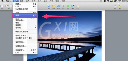 pages文稿怎么保存 Pages保存文档教程截图