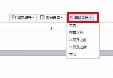 wps论文怎么添加两种页码-wps设置两种页码的详细方法截图