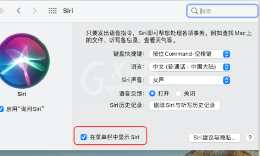 苹果电脑如何取消右上角的siri图标 苹果电脑删除右上角的siri图标显示方法截图