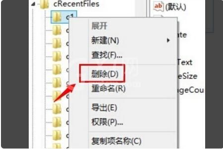 adobe reader如何删除最近打开的文件 adobe reader删除最近打开的文件操作步骤截图