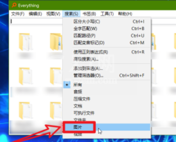 Everything怎样搜索本地图片 Everything搜索本地的图片方法截图