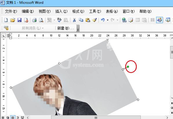 word文档怎么设置图片旋转?word文档设置图片旋转的方法截图