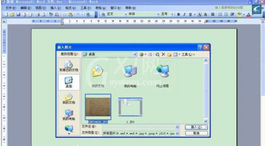 office 2010的Word怎么提取图片里的文字？office 2010的Word提取图片里的文字的方法教程截图