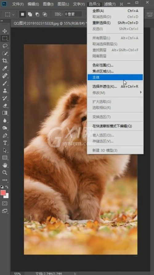 Photoshop怎么抠狮子狗?Photoshop抠狮子狗教程截图