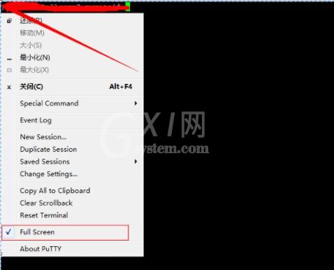 putty怎么退出全屏 putty退出全屏方法截图