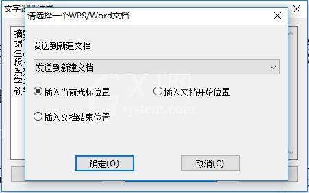 cajviewer怎么转换成word cajviewer转换成word方法截图